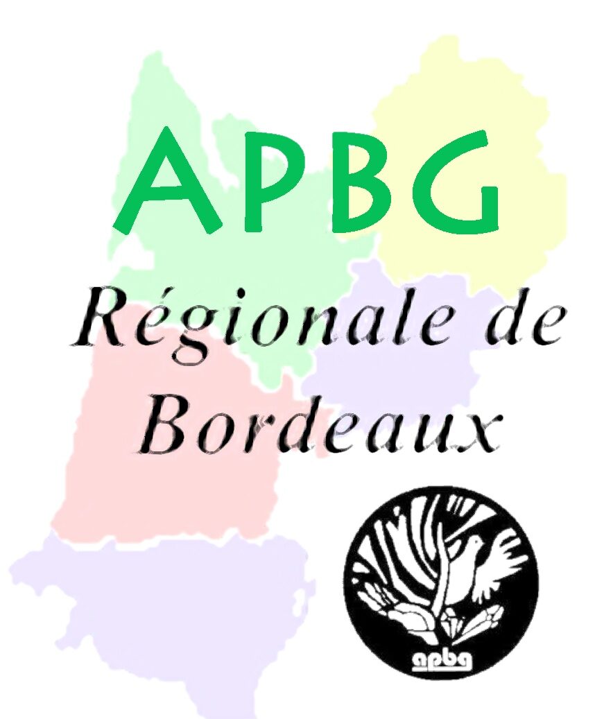 APBG Bordeaux
